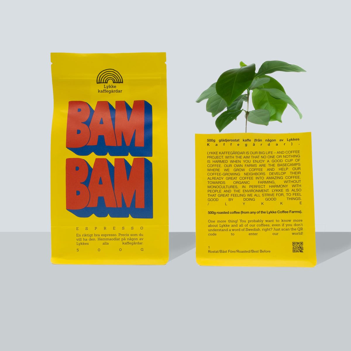 BAM BAM 500g